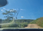 1000038846
